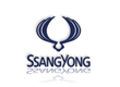 Ssangyong dakdrager toepassingen